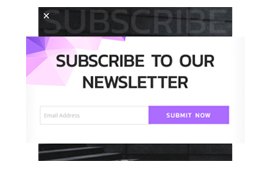 Subscribe To Our Newsletter